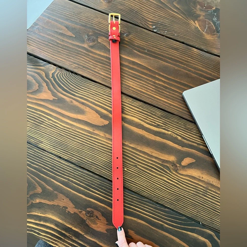 Genuine Canine dog collar, crimson 16-20”